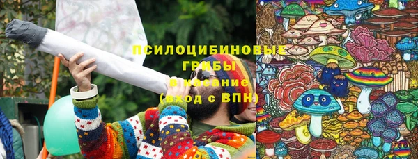 прущие крисы Магас