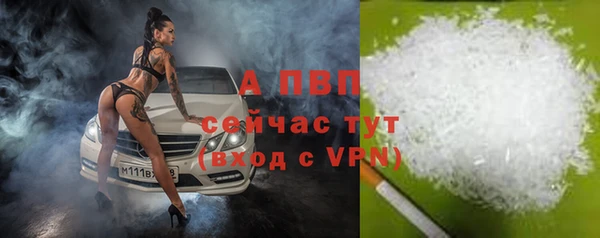 прущие крисы Магас