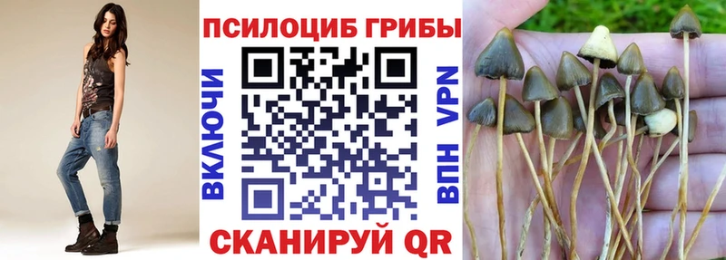 Псилоцибиновые грибы GOLDEN TEACHER  купить наркотики сайты  Елец 
