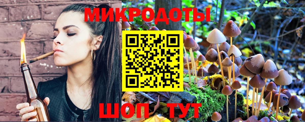 Псилоцибиновые грибы Cubensis  Елец 