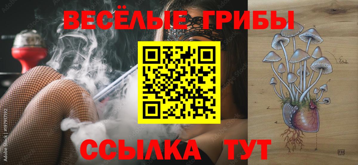 Галлюциногенные грибы Psilocybine cubensis Елец