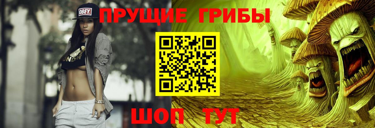 Псилоцибиновые грибы Cubensis  Вход с VPN  Галлюциногенные грибы мицелий  Елец 