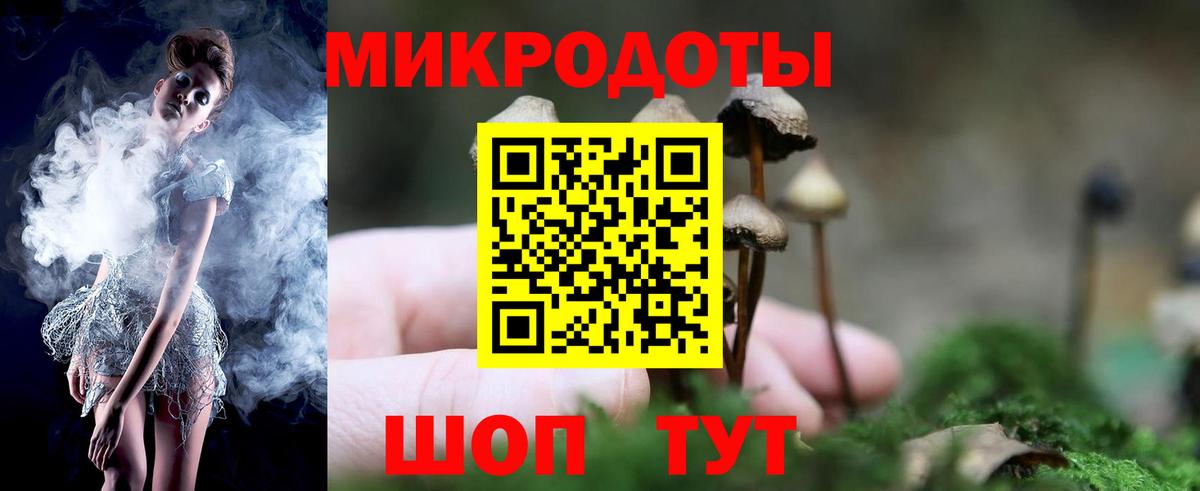 Псилоцибиновые грибы ЛСД Елец